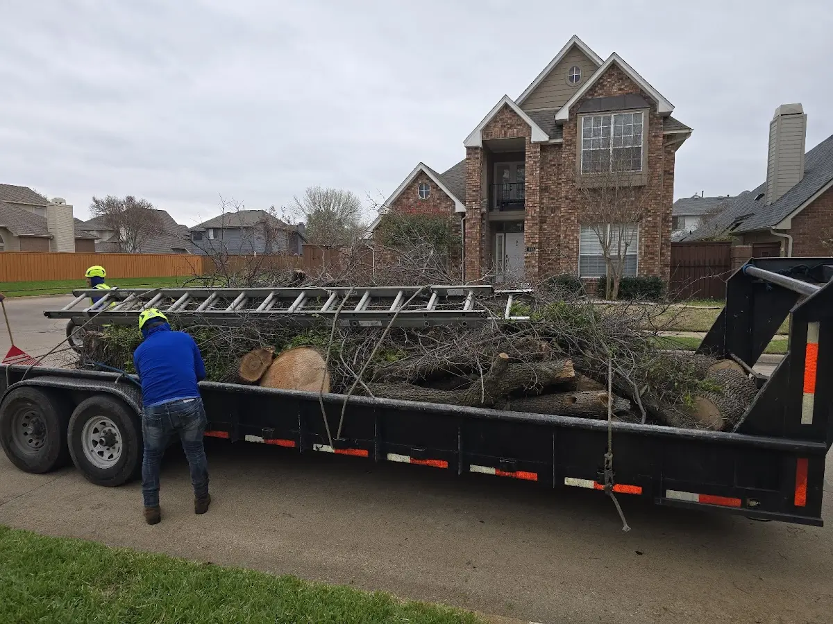 Expert Tree Fertilization with proper safety equipment in Shenorock